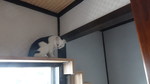 DSC00784.JPG