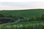 DSC02310.JPG
