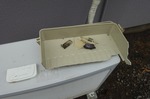 DSC02701.jpg