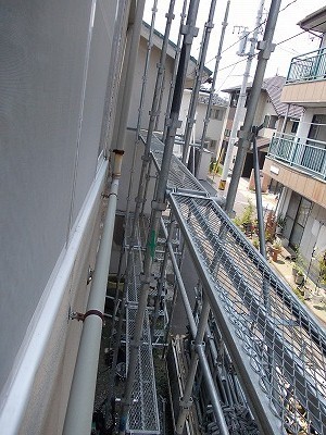 DSCN0028.jpg