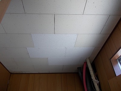 DSCN0391.jpg