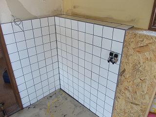 DSCN0652-s.jpg