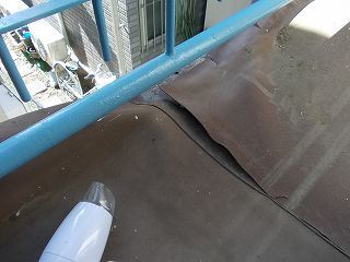 DSCN0666-s.jpg