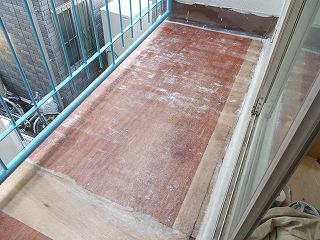 DSCN0687-s.jpg