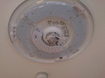 DSC_1335.jpg