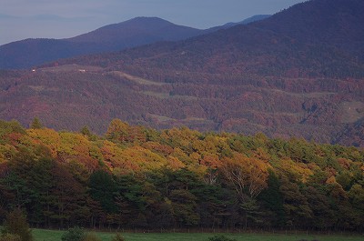 IMGP0209-s.jpg