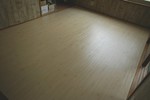 IMGP4737-s.jpg
