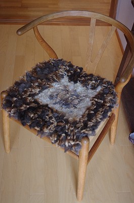 IMGP5095-s.jpg
