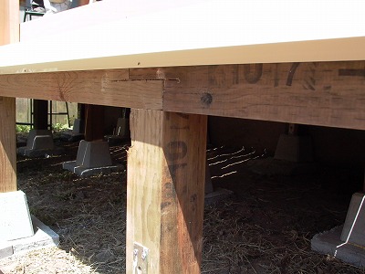 P1000119-s.jpg