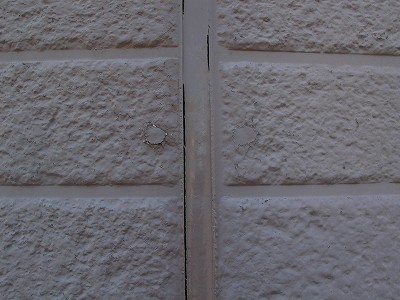 P1010276-s.jpg