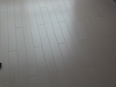 P1010886-s.jpg