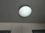 P_20200301_120359_vHDR_Auto.jpg