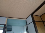 P_20200910_112802_vHDR_Auto.jpg