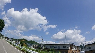 SHIM0481.jpg