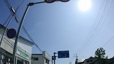 SHIM0523.jpg