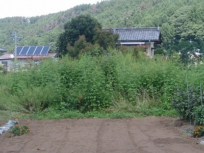 s-DSC_1903.jpg