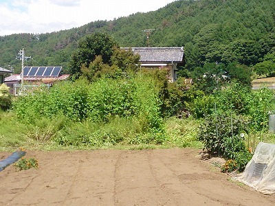 s-DSC_1906.jpg
