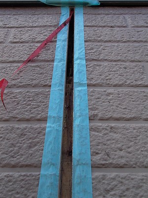 P1010280-s.jpg