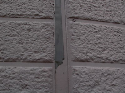 P1010281-s.jpg
